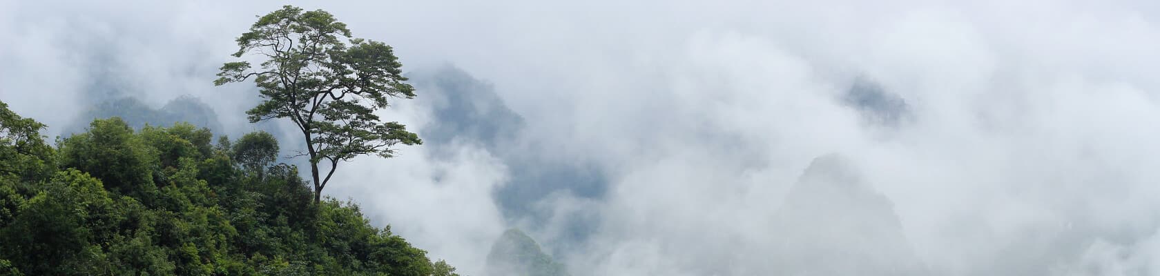 Landscape Photo Albums